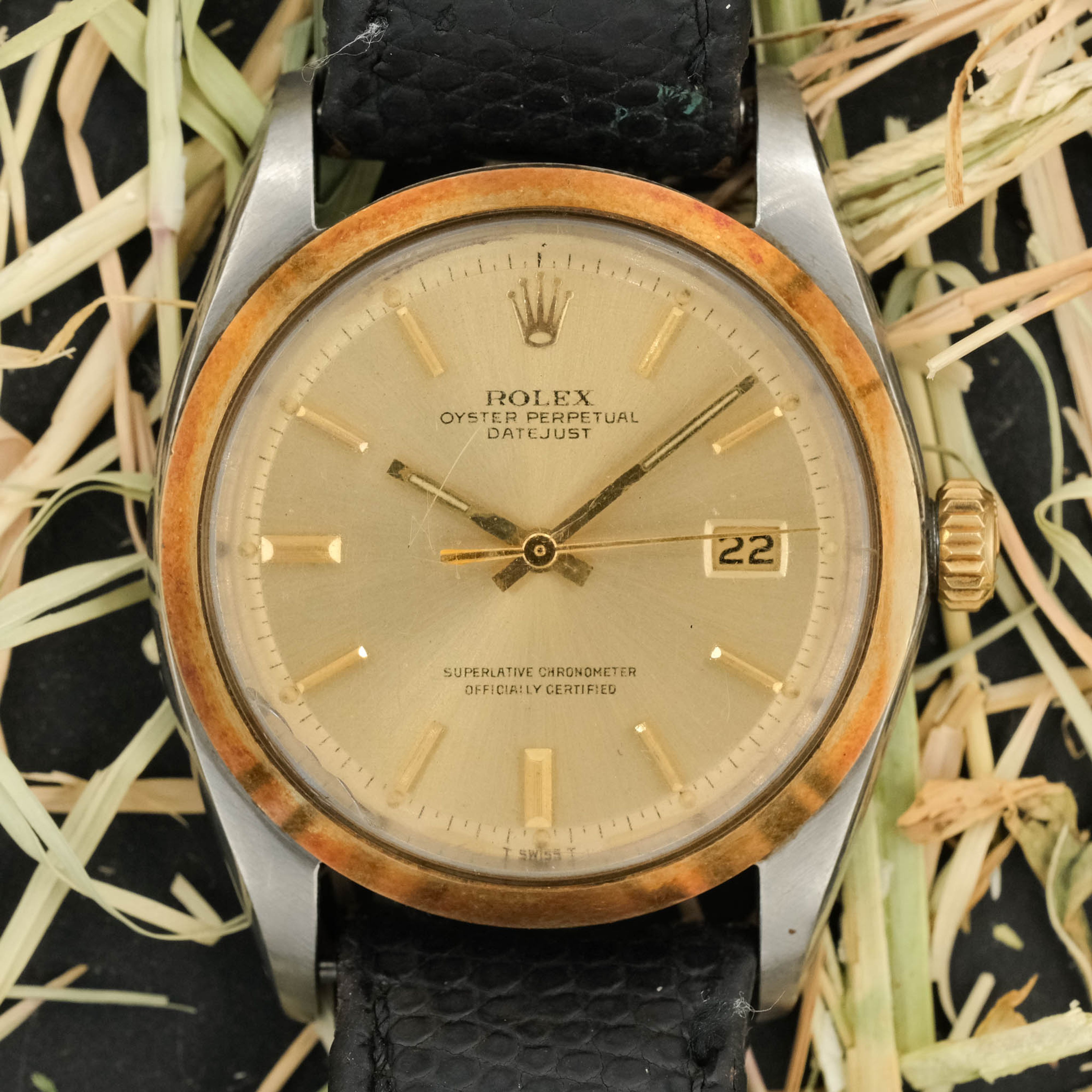 Watch Cover Image