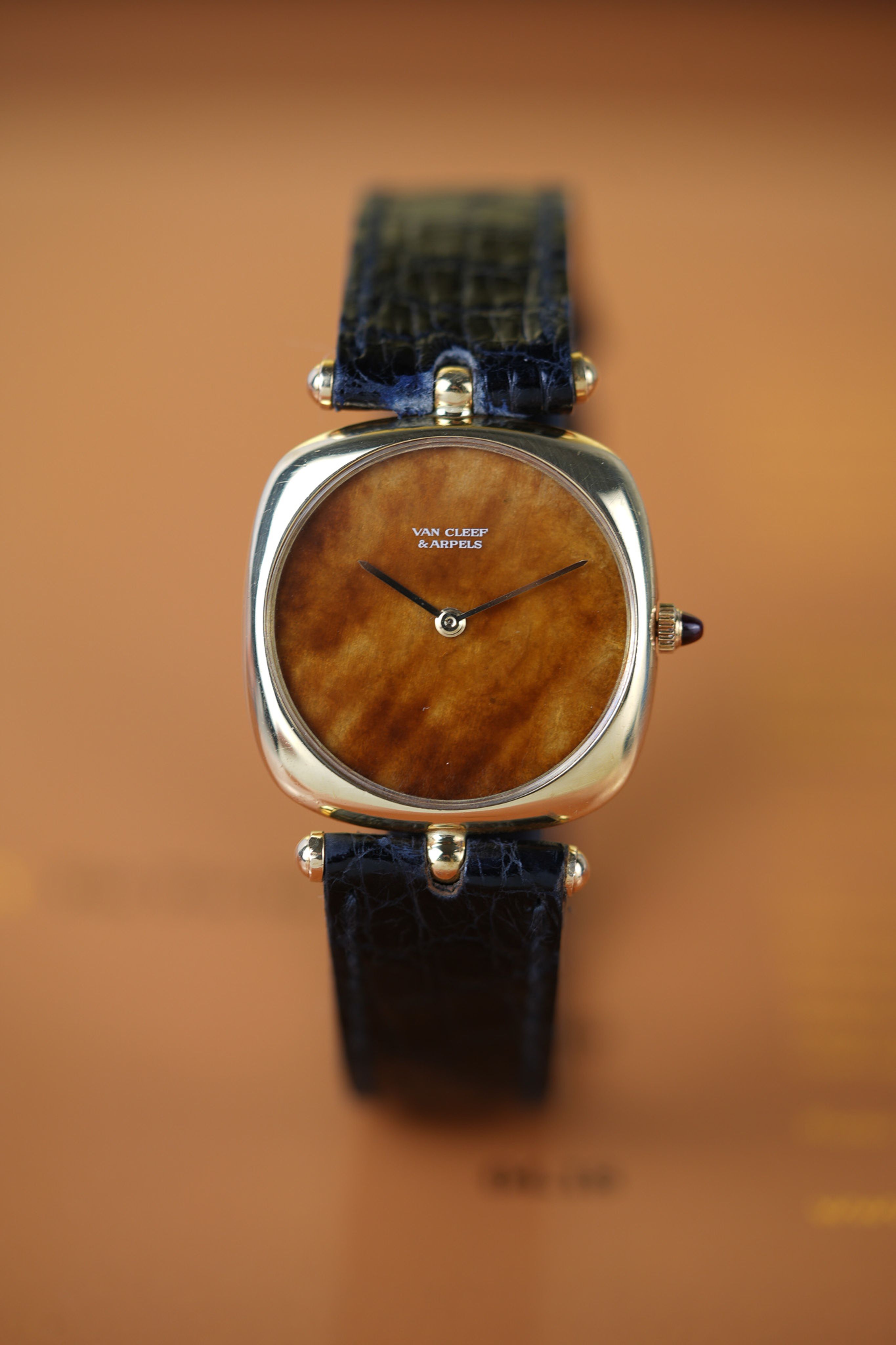 Watch Cover Image