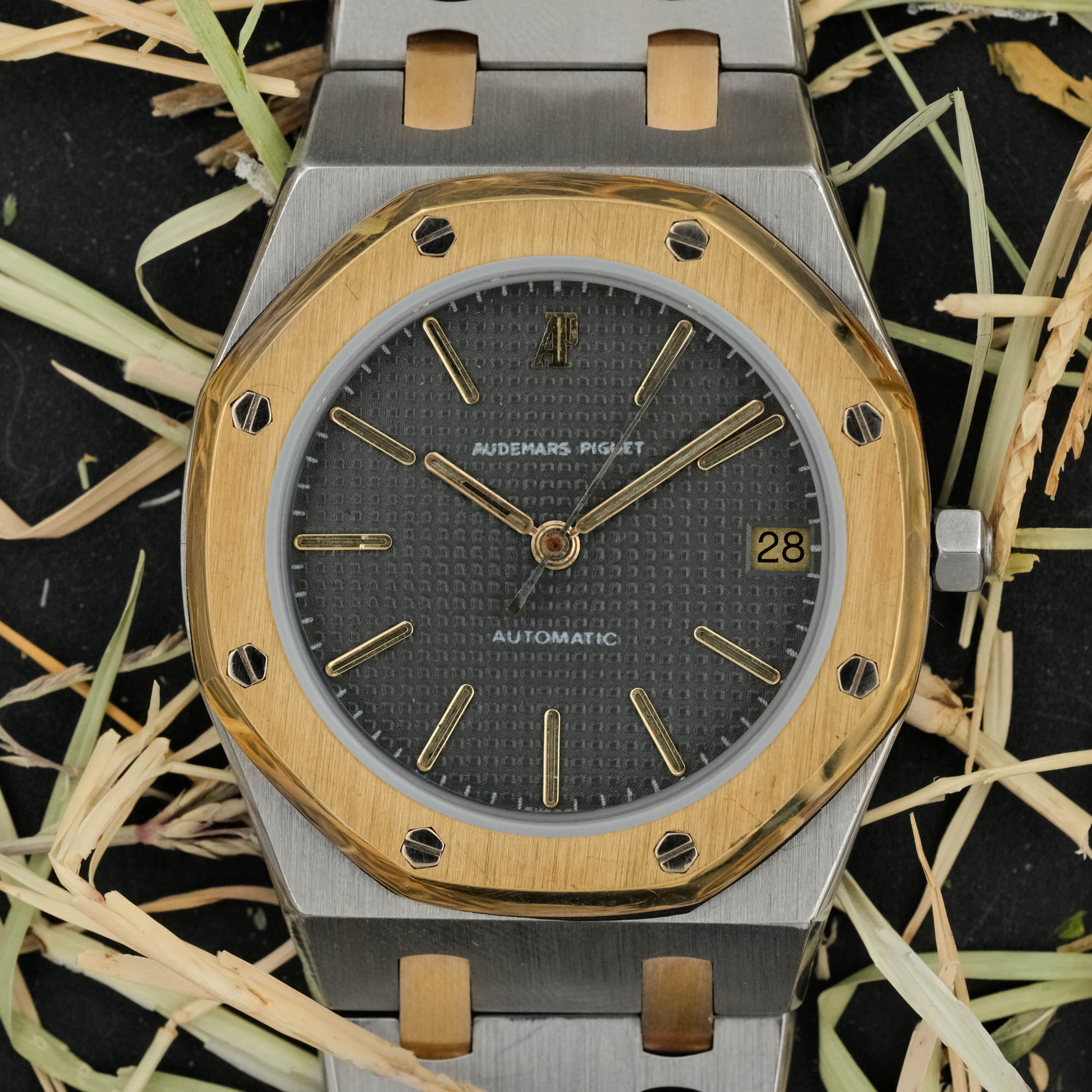 Watch Cover Image