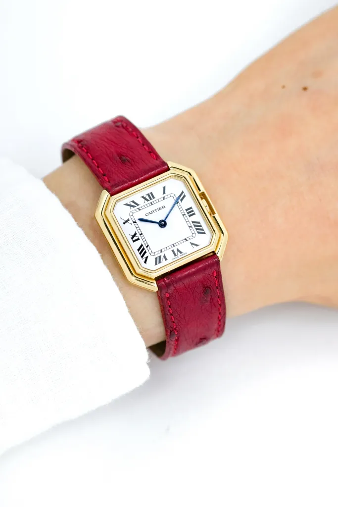 Watch Cover Image