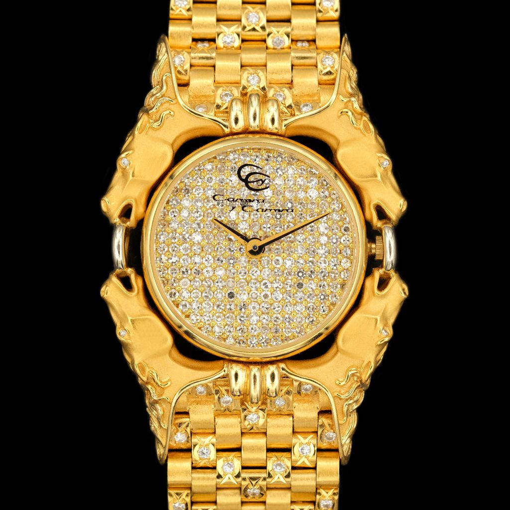 Watch Cover Image