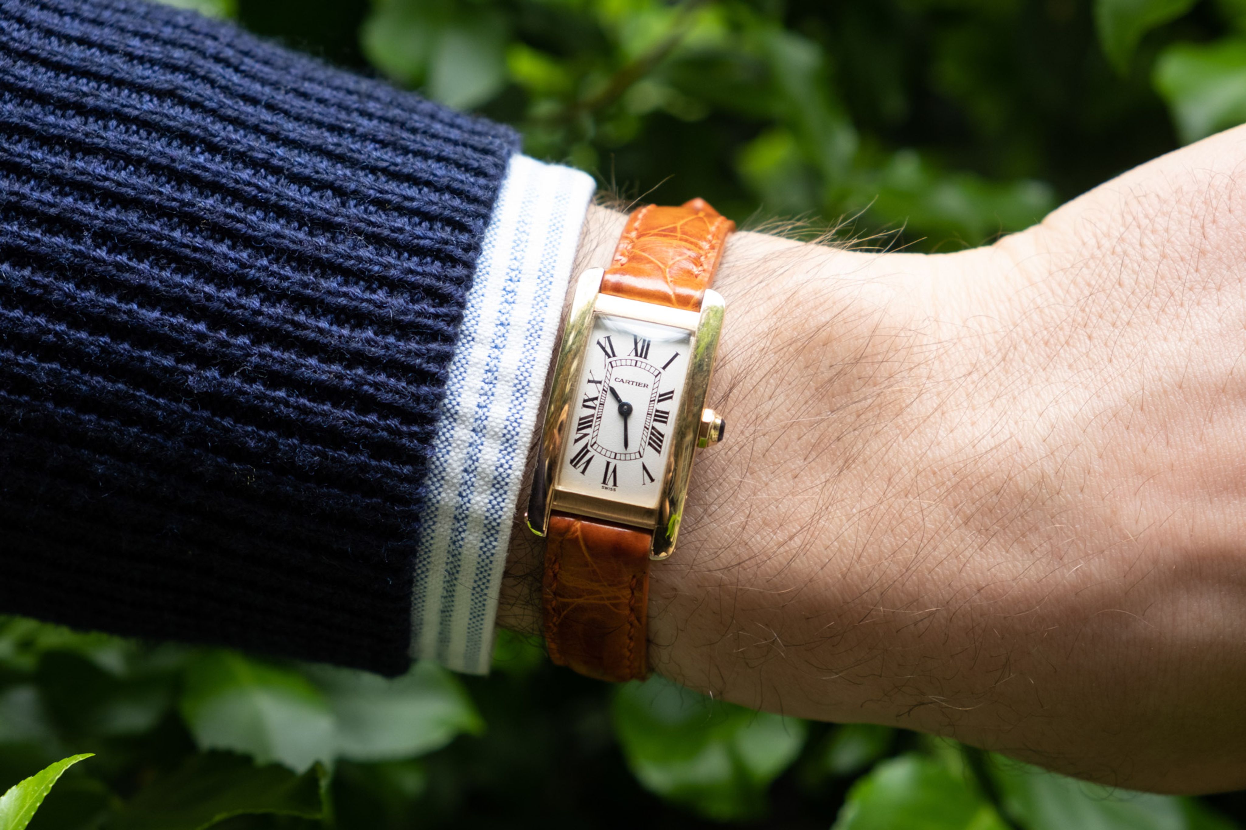 Watch Cover Image