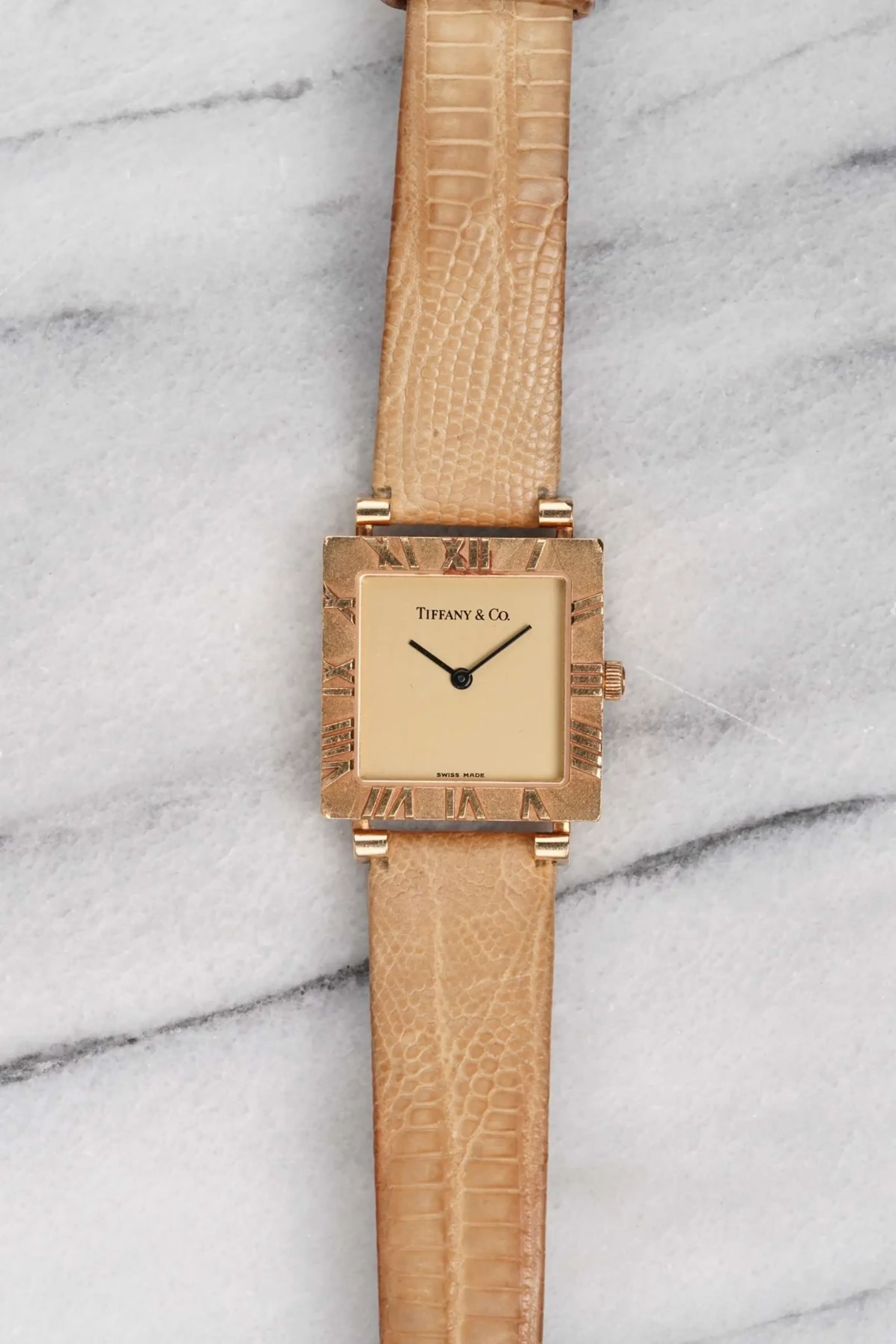 Watch Cover Image